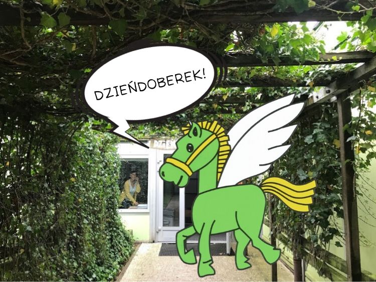 wejście do szkoły wraz z naszym symbolem - zielonym pegazem