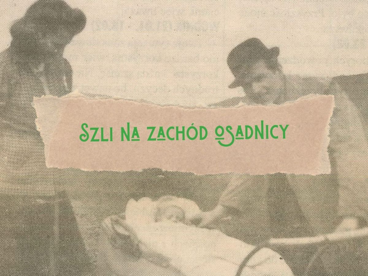 Przepis na łejerskie harcerstwo, teatr i szkołę, czyli moja KSIĄŻKA KUCHARSKA / część&nbsp;2