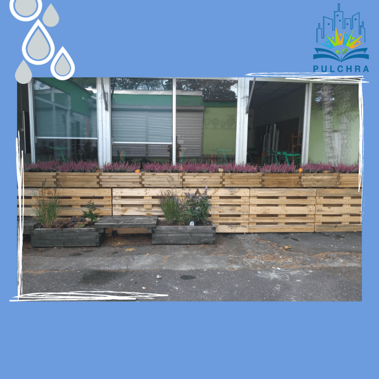 Projekt Pulchra w Łejerach