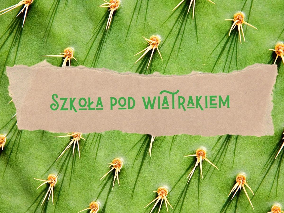 Przepis na łejerskie harcerstwo, teatr i szkołę, czyli moja KSIĄŻKA KUCHARSKA / część&nbsp;14