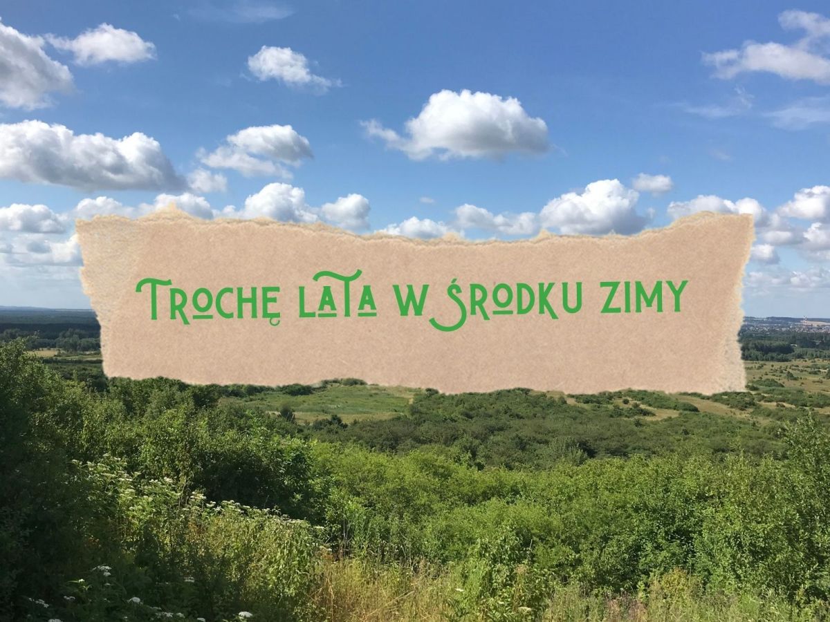 Przepis na łejerskie harcerstwo, teatr i szkołę, czyli moja KSIĄŻKA KUCHARSKA / część&nbsp;16