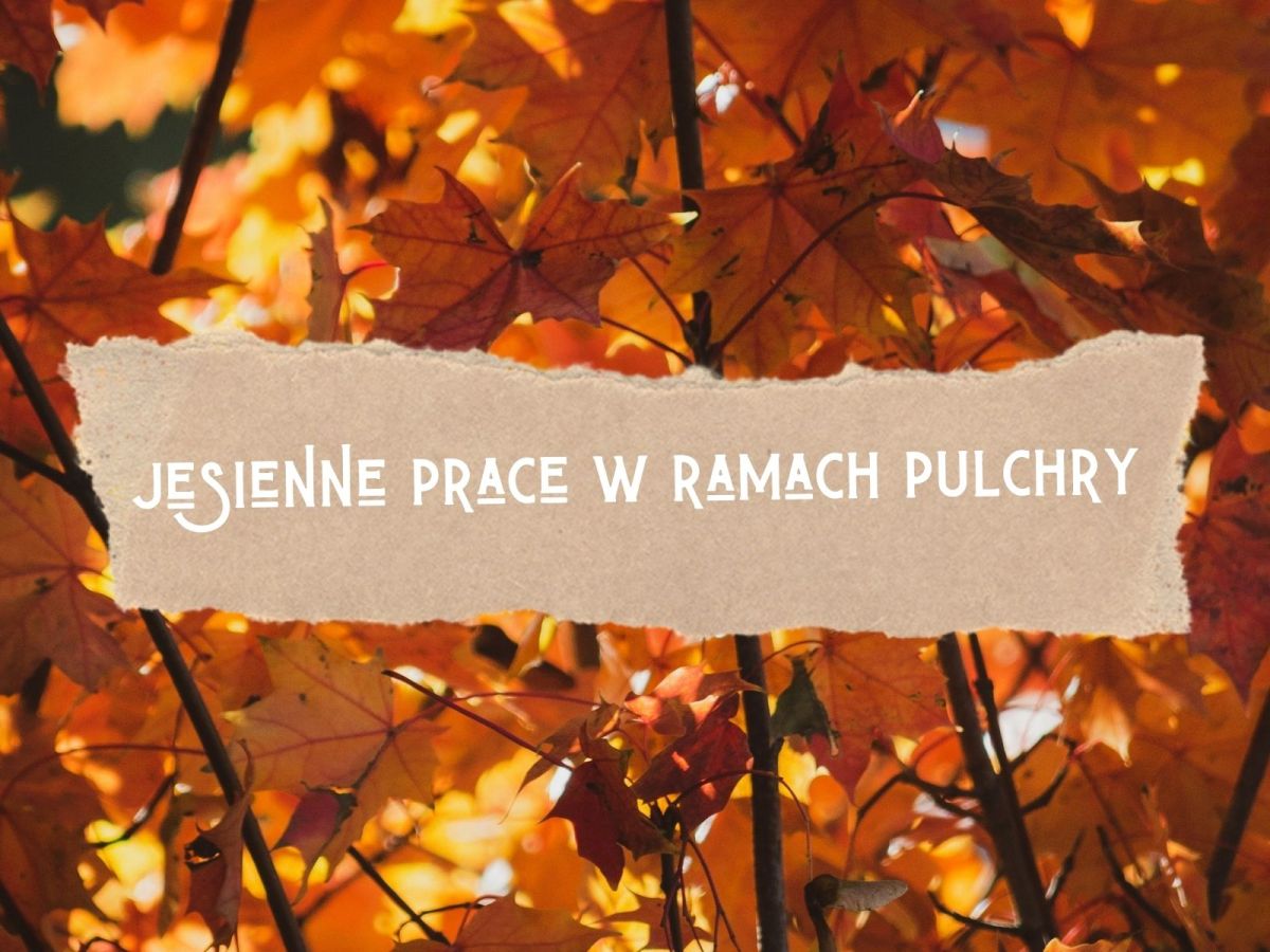 Sezon jesiennych prac w projekcie PULCHRA&nbsp;rozpoczęty!